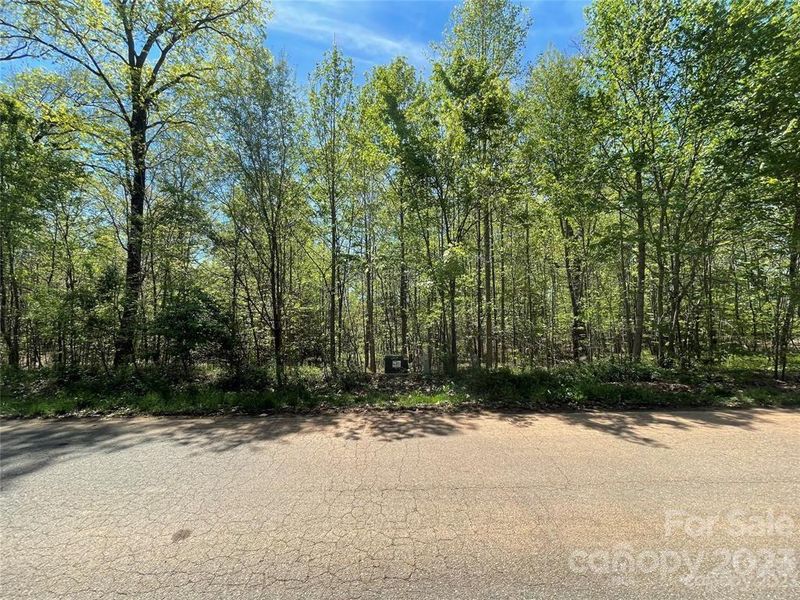 126 Valley Springs Dr, Olin, NC 28660