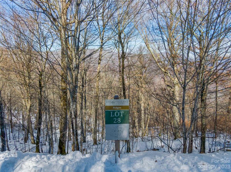 Lot 28 Black Bear Rn, Mars Hill, NC 28754