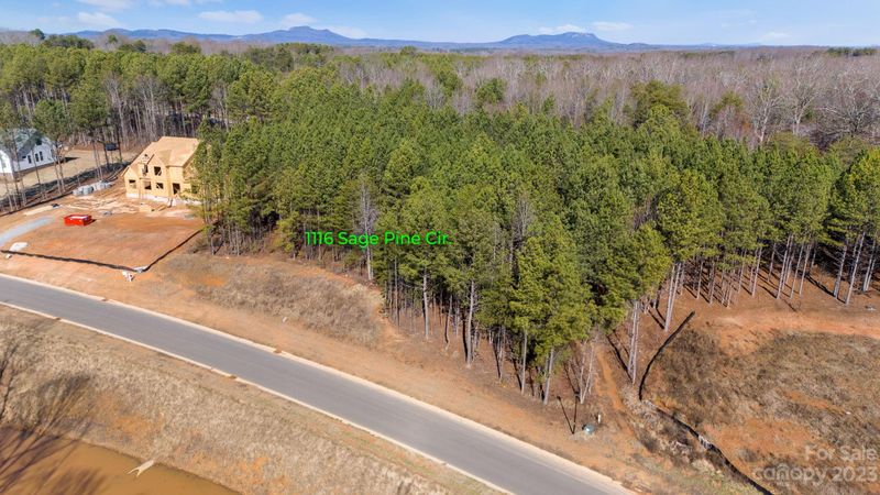 1116 Sage Pine Cir, Clover, SC 29710