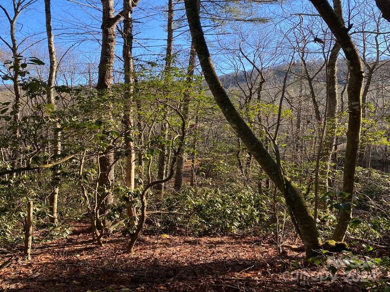 L41 Abby Falls Rd #L41, Rosman, NC 28772
