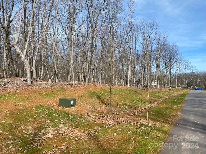 Lot 6 Brancer Ln, Lincolnton, NC 28092