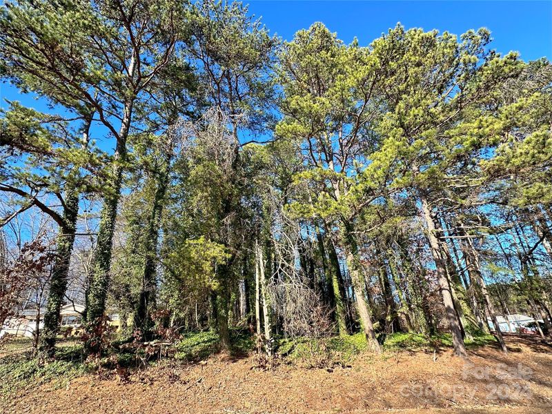 0 Springdale Park Dr, Lincolnton, NC 28092