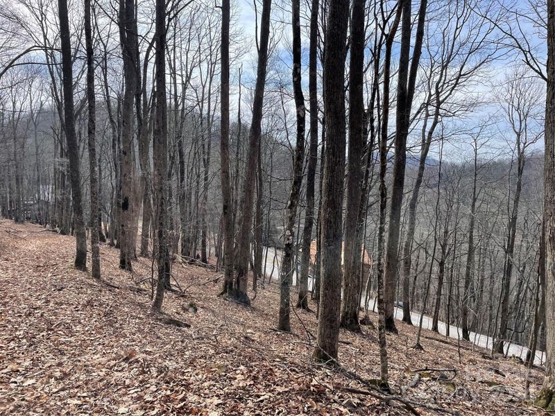 000 El Miner Dr #464, Mars Hill, NC 28754