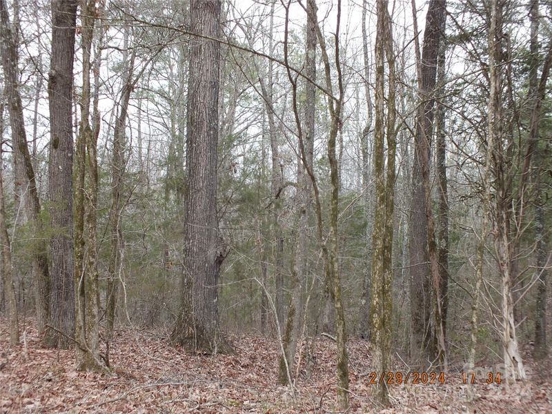 00 Craig Farm Rd, Lancaster, SC 29720