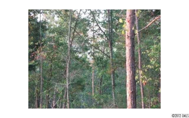 29 Ac Starnes Rd, Edgemoor, SC 29712
