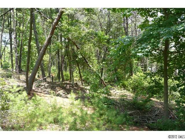 19673 Harbor Watch Ct, Lancaster, SC 29720