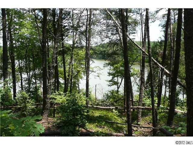 19673 Harbor Watch Ct, Lancaster, SC 29720