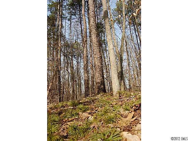 Lot 7 Walnut Ridge Rd #7, Iron Station, NC 28080