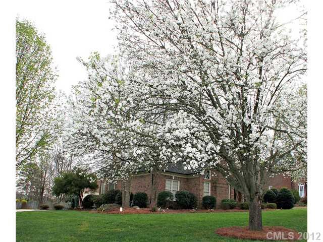 125 Cottontail Ln, Concord, NC 28025