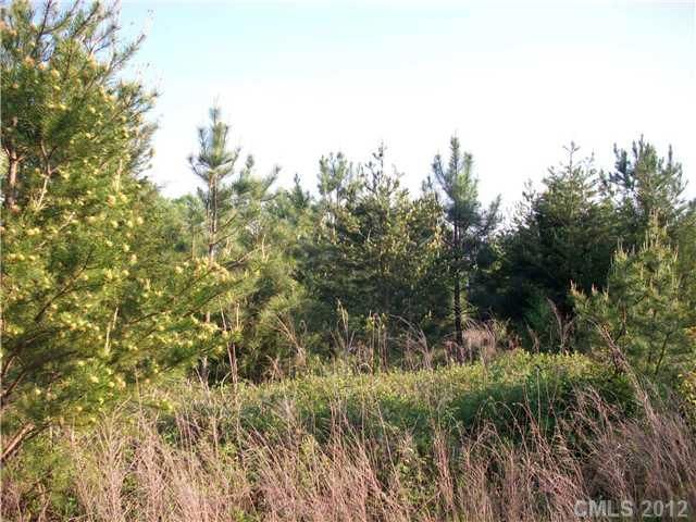 0 Jericho Ln, Lincolnton, NC 28092