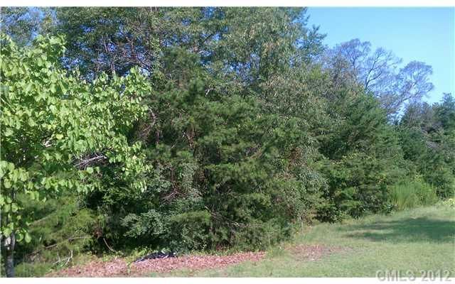 419 Christmas Tree Ln, Clover, SC 29710