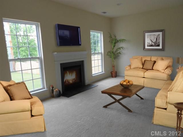 1001 Yellow Daisy Dr, Stallings, NC 28104