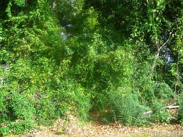 20000 Walter Henderson Rd, Cornelius, NC 28031