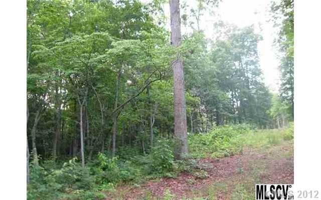 4100 NE 54th Ave, Hickory, NC 28601
