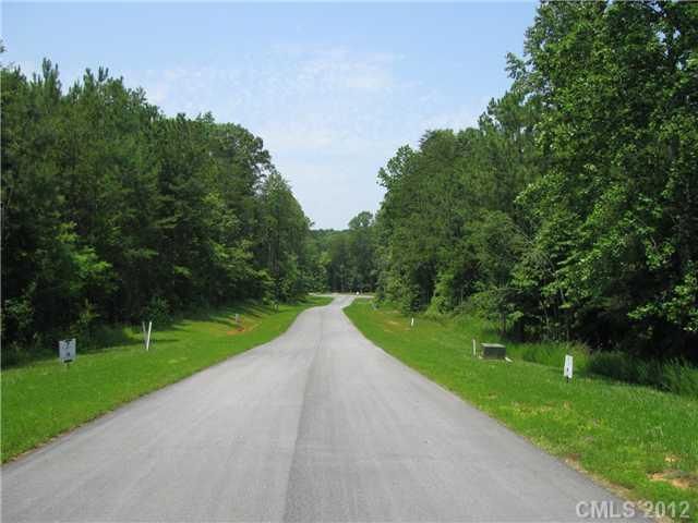 NA Amandine Way, Terrell, NC 28682