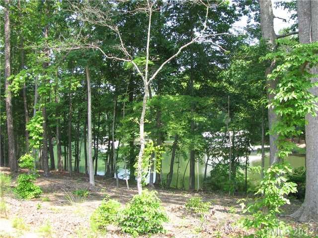19106 Serenity Point Ln, Cornelius, NC 28031