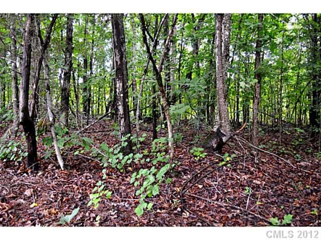 Lot 1 Windy Ridge Dr #1, Denver, NC 28080