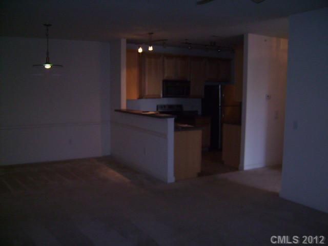 17243 Doe Valley Ct #17243, Cornelius, NC 28031
