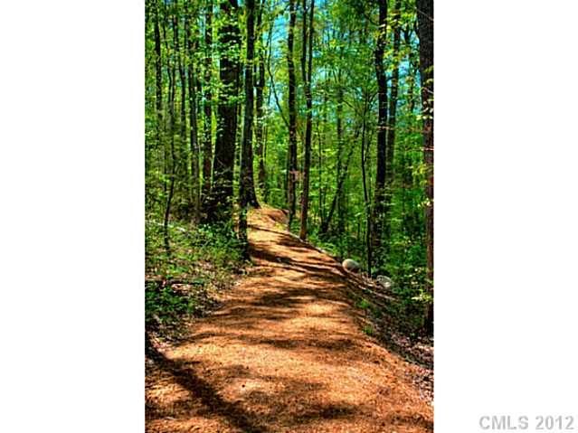 13628 Helen Benson Blvd, Davidson, NC 28036