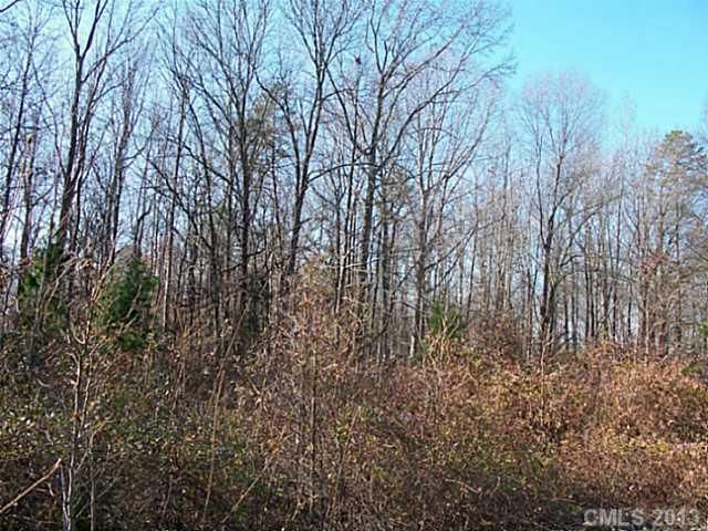 Lot C Mingus Rd, Charlotte, NC 28216