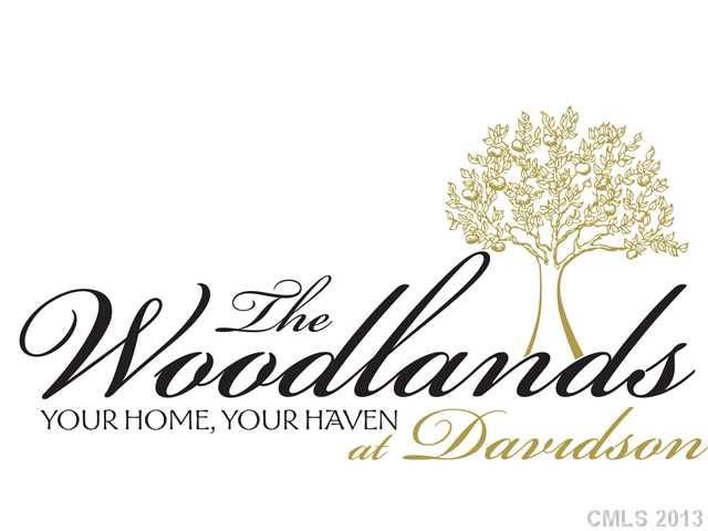 Lot 14 Davidson Park Dr #14, Davidson, NC 28036