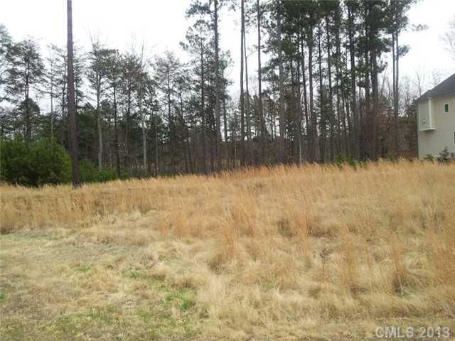 16 Blue Dory Ln, Denver, NC 28037