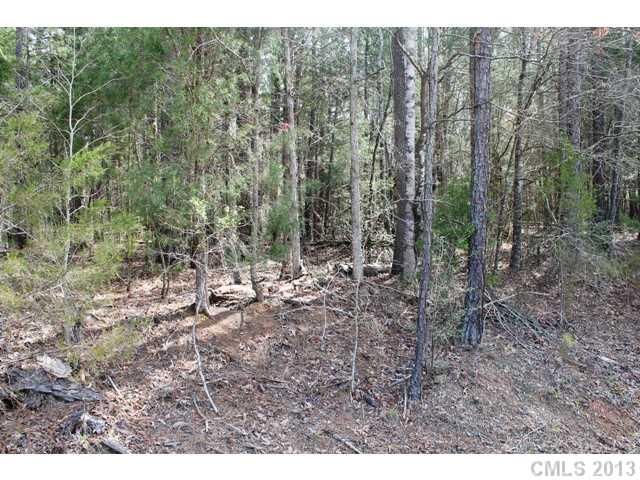 00 Mcelroy Rd #166, Waxhaw, NC 28173
