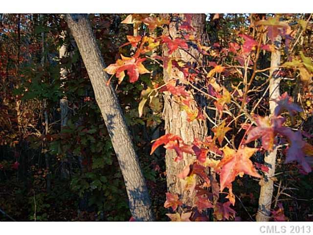 Lot 4 Ridgemont Dr #4, Denver, NC 28037