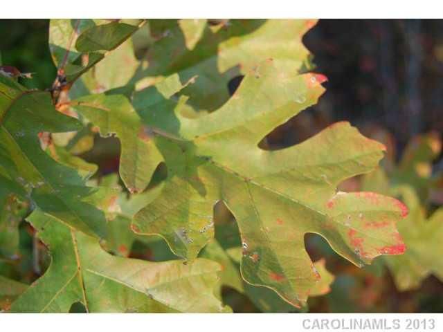 Lot 40 Havencrest Dr, Denver, NC 28037