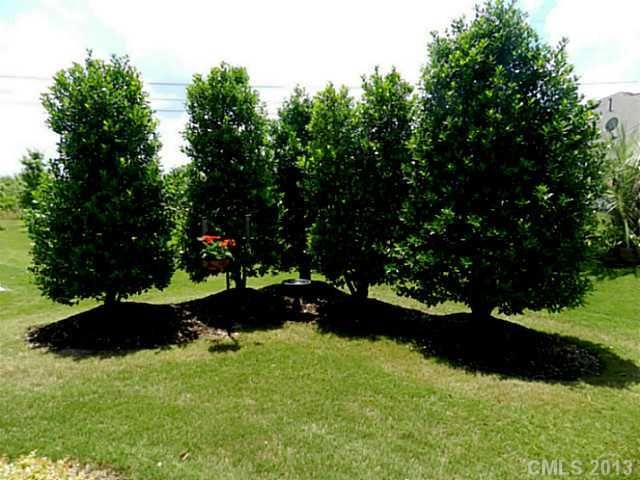 22134 Tern Ct, Indian Land, SC 29707