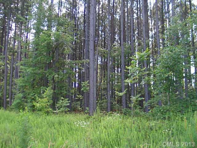 00 Outlook Dr, Iron Station, NC 28080