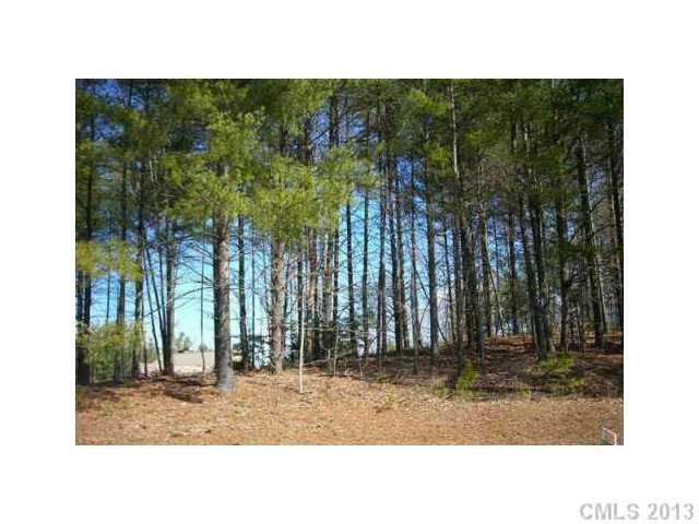 140 Maple View Dr, Troutman, NC 28166