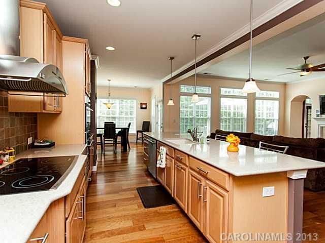 13725 Copper Leaf Ln, Charlotte, NC 28277