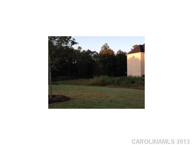 1728 Funny Cide Dr #111, Waxhaw, NC 28173