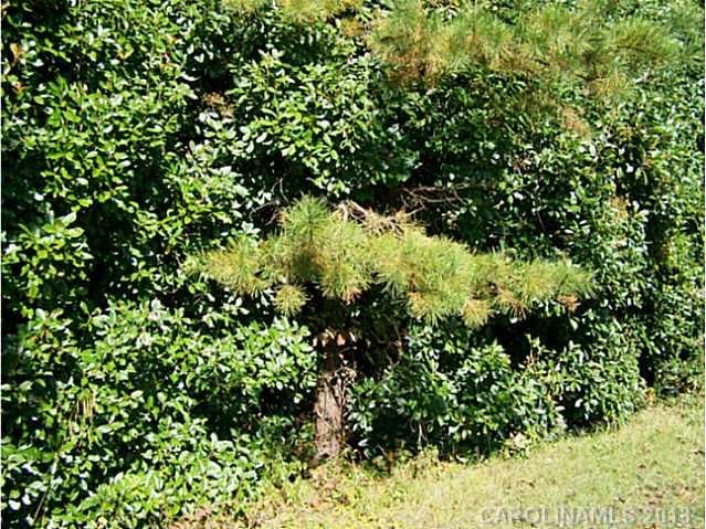 3319 Edwards Rd, Wingate, NC 28174