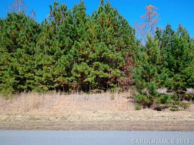 164 Copper Kettle Way, Rock Hill, SC 29732