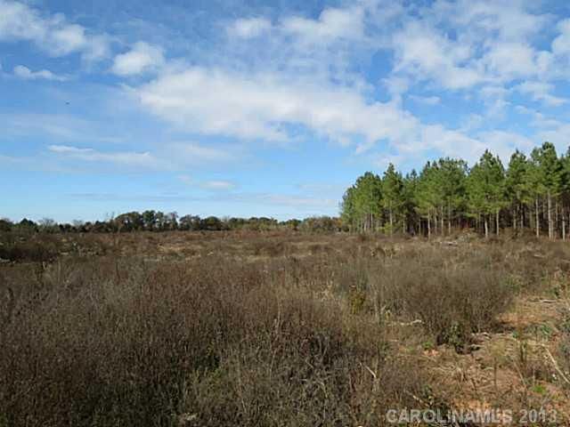 22 AC Ferndale Rd, Mcconnells, SC 29726