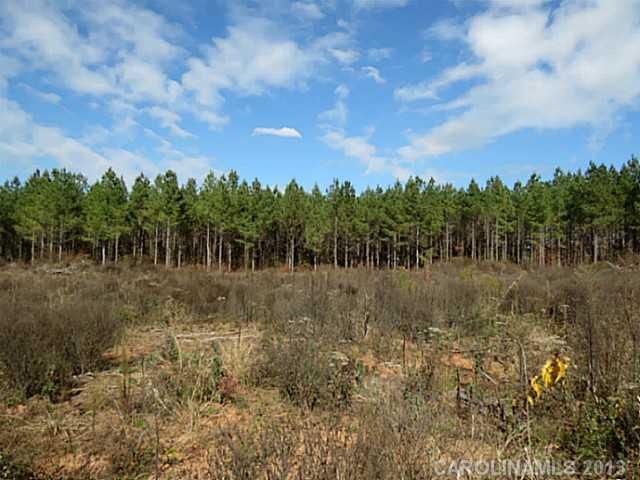 22 AC Ferndale Rd, Mcconnells, SC 29726