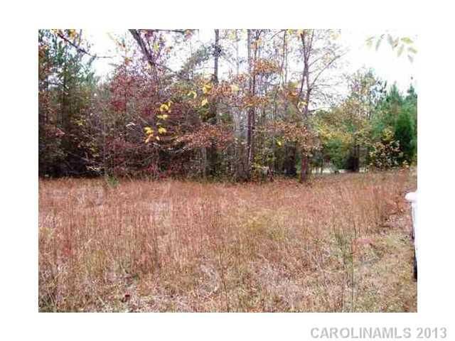 - River Pines Rd, Rock Hill, SC 29732