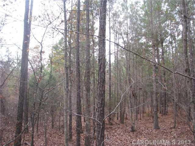 39 Ac Trussel Rd, Chester, SC 29706