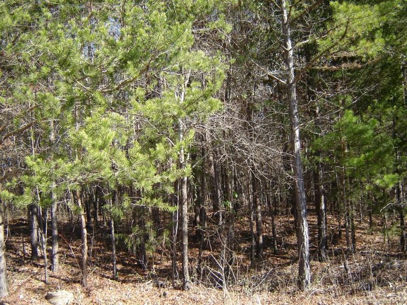 Lot 32 Plainview Rd, Monroe, NC 28110