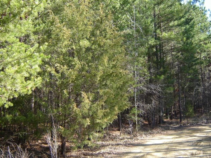 Lot 31 Plainview Rd, Monroe, NC 28110