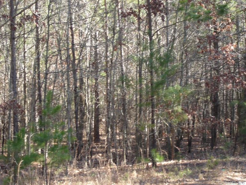 Lot 33 Plainview Rd, Monroe, NC 28110