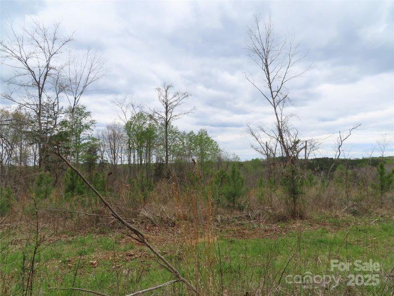 000 C E Stewart Rd #5, Clover, SC 29710