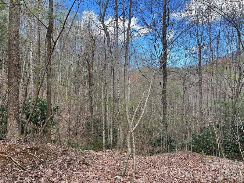 00 Audia Way Dr, Zirconia, NC 28790