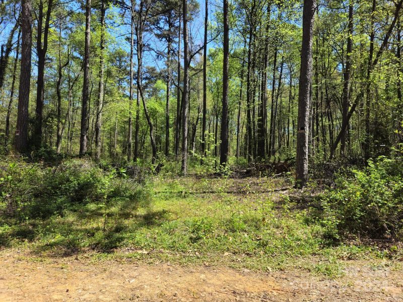 Lot 110 Archie Ln, Monroe, NC 28112