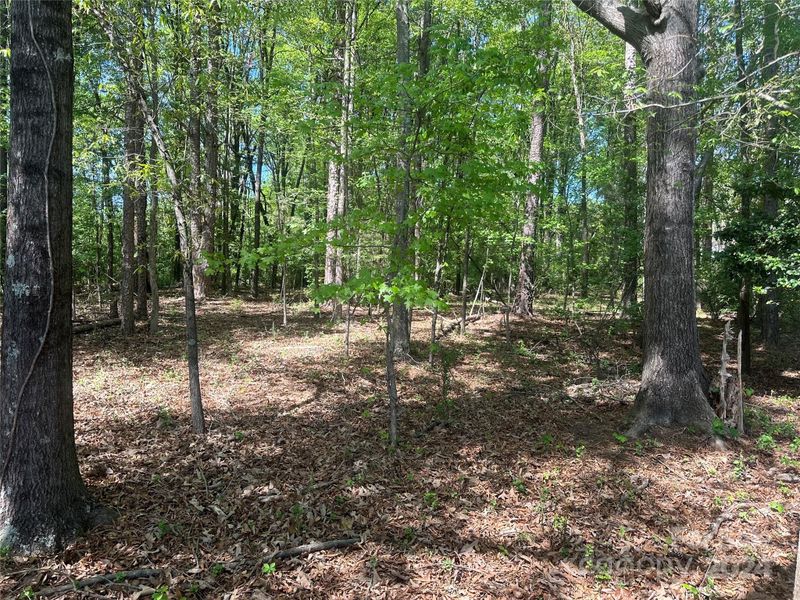 Lot 2 Maiden Ln, York, SC 29745