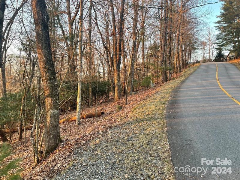 TBD Connestee Trl #431/2, Brevard, NC 28712