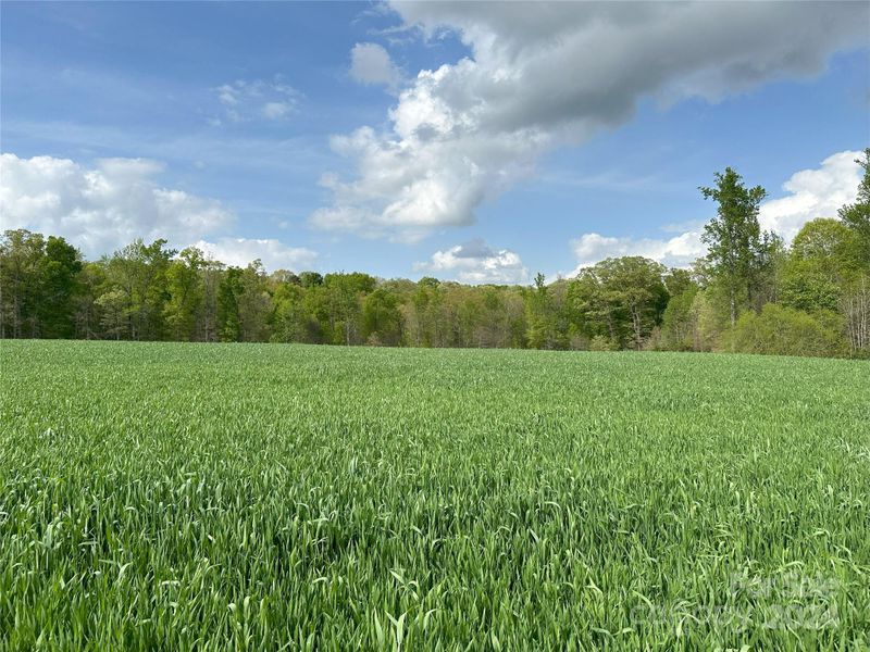 0 Little Staton Rd, Marshville, NC 28103
