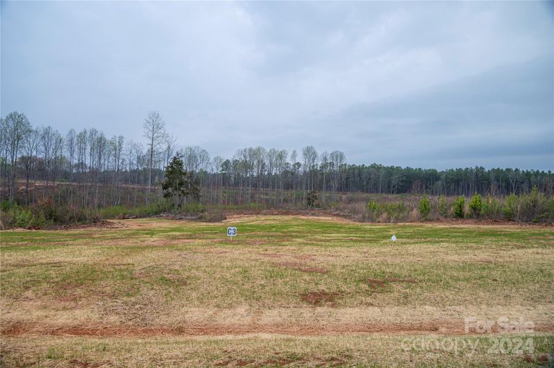 00 Mccurry Farm Ln #C3, Lincolnton, NC 28092